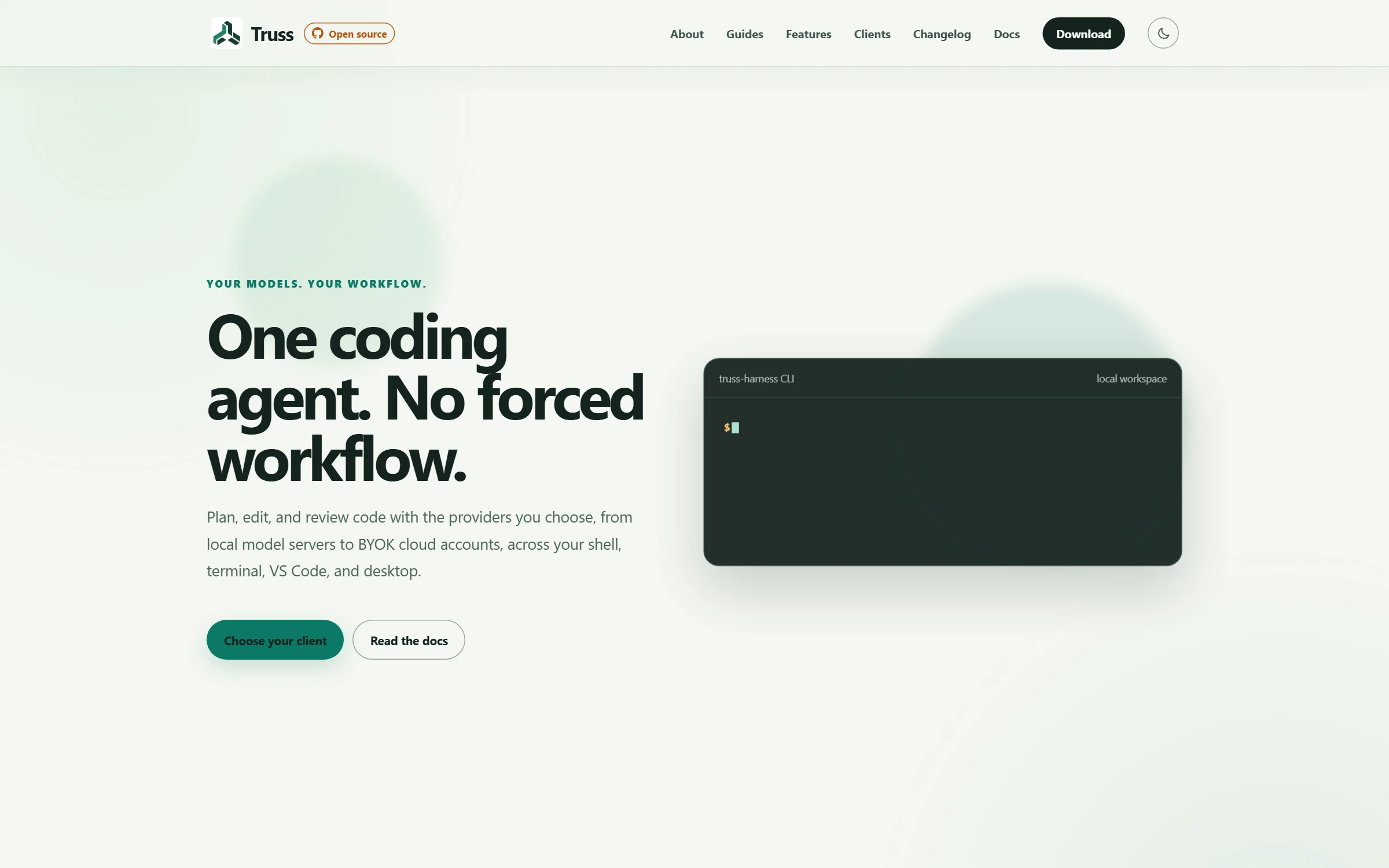 Truss website showing its product introduction and visual identity